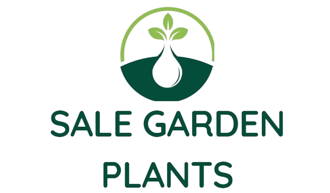 Garden Plants Shop