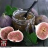 Fig Osborne Prolific - Gift -Garden Plants Shop FIG KC5984 B
