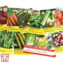 Grow Your Own Bumper Pack -Garden Plants Shop GROW WKB9279 C