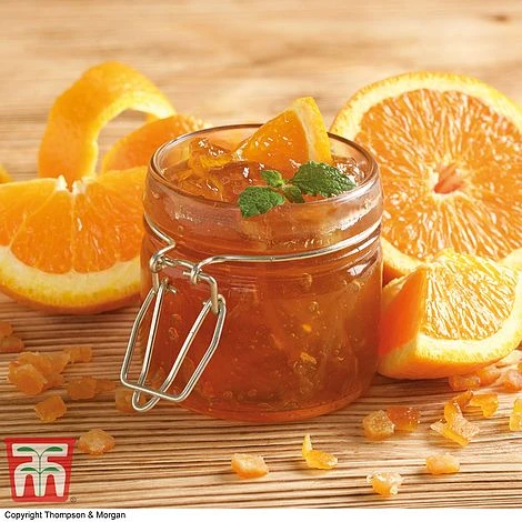 The Marmalade Collection - Gift 3 The Marmalade Collection - Gift