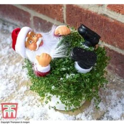 'Mind Your Own Business' Santa - Gift -Garden Plants Shop MIND WGKB7085 C