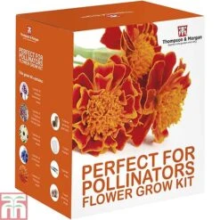 Pollinator Flowers Growing Kit -Garden Plants Shop PERF TKA1544A D