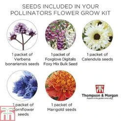 Pollinator Flowers Growing Kit -Garden Plants Shop POLL TKA1544 E