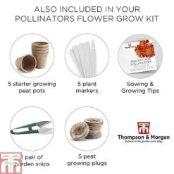 Pollinator Flowers Growing Kit -Garden Plants Shop POLL TKA1544 F
