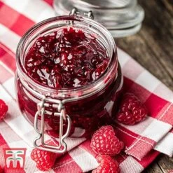 Raspberry 'Glen Fyne' (Summer Fruiting) 7 Raspberry 'Glen Fyne' (Summer Fruiting) -Garden Plants Shop RASP RECIPE CUL 5