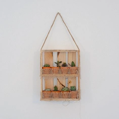Hanging Wooden Succulent Shelf With 8 Plants 4 Hanging Wooden Succulent Shelf With 8 Plants - Image 2