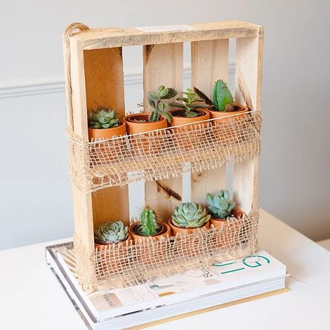 Hanging Wooden Succulent Shelf With 8 Plants 3 Hanging Wooden Succulent Shelf With 8 Plants