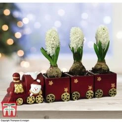 Train Set - Gift -Garden Plants Shop TRAI WGKB7083 A
