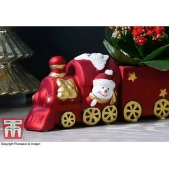 Train Set - Gift -Garden Plants Shop TRAI WGKB7083 C