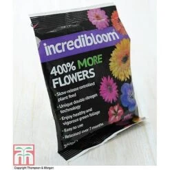 Clematis 'New Love' -Garden Plants Shop z INCR T47963 E h3